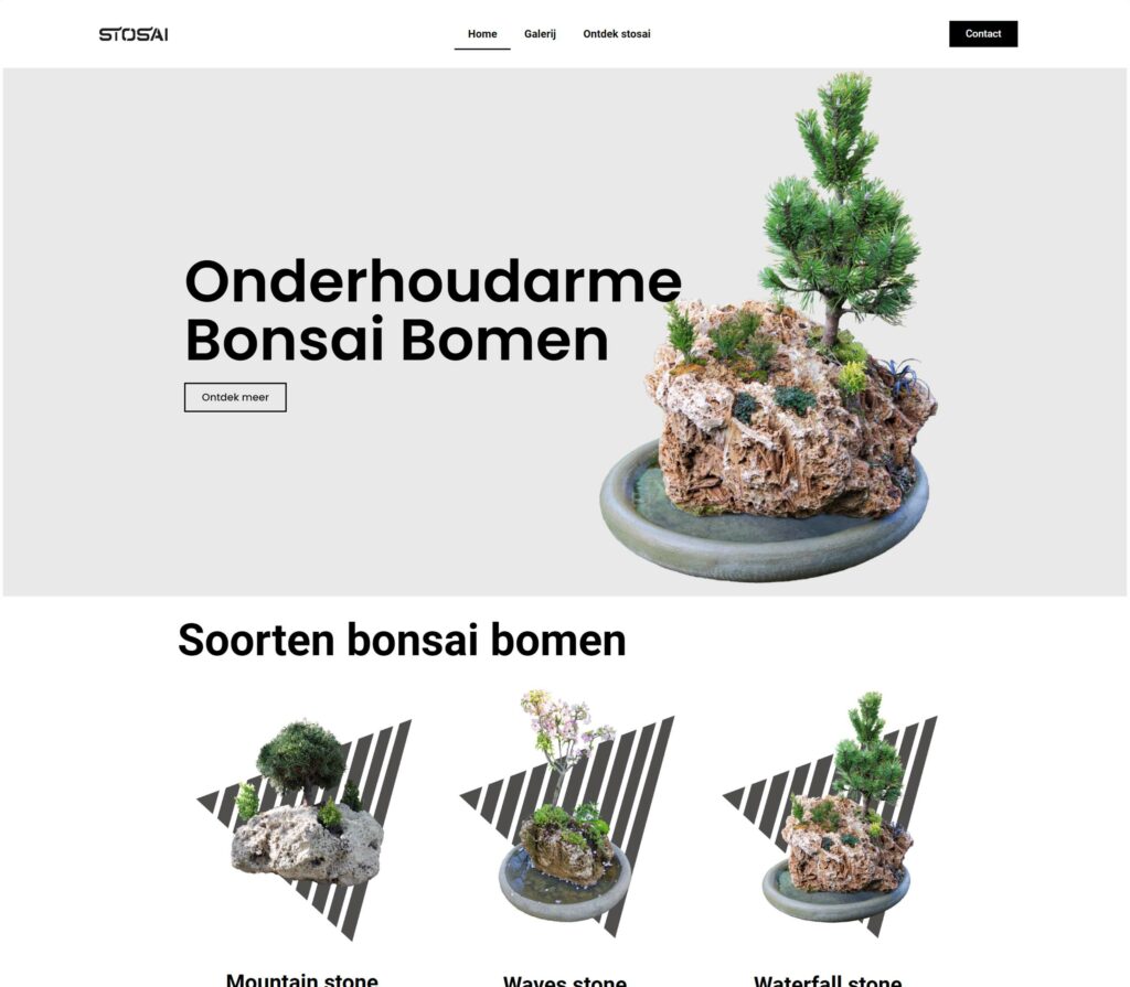 stosai bonsai bomen studio jansma website